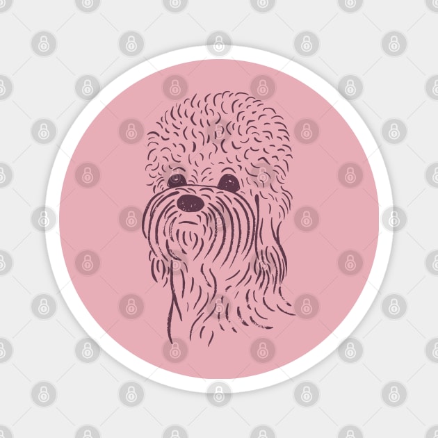 Dandie Dinmont Terrier (Pink and Purple) Magnet by illucalliart